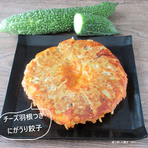 サクサク歯触り・ほろ苦いゴーヤ餃子。チーズのコクで止まらない『にがうり焼き餃子 チーズ羽根つき』