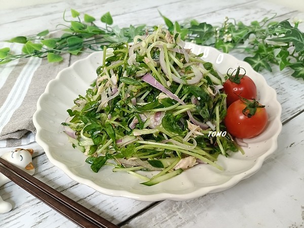 パパっと1品♪豆苗とツナ缶の麺つゆサラダ