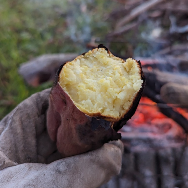 焚き火でホクホク焼きいも！キャンプ・アウトドアで楽しむ簡単レシピ！