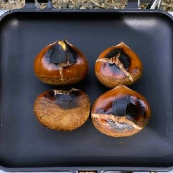 ホットサンドメーカーで簡単ロースト栗｜キャンプにもぴったり！