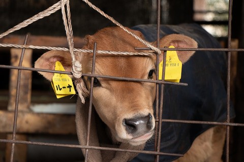 東京にある「駅チカ牧場」乳和食アンバサダーの見学レポ（PR）