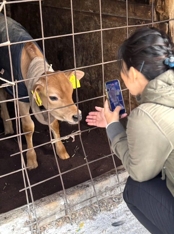 【大人の社会科見学】牛も人も幸せに。「磯沼牧場」で学ぶアニマルウェルフェアな暮らし