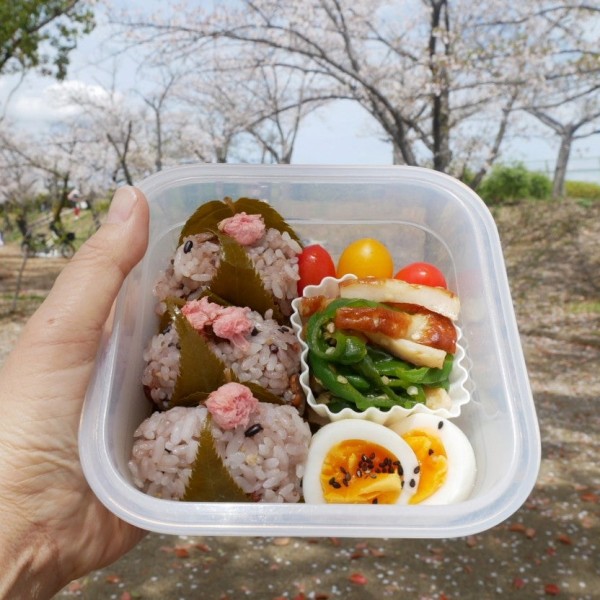 『桜餅風おにぎりのお弁当【春の味覚レシピ】#今日のおうちごはん』