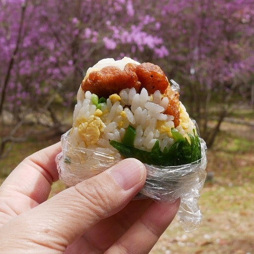 『からたまおにぎり弁当【春の味覚レシピ】#今日のおうちごはん』