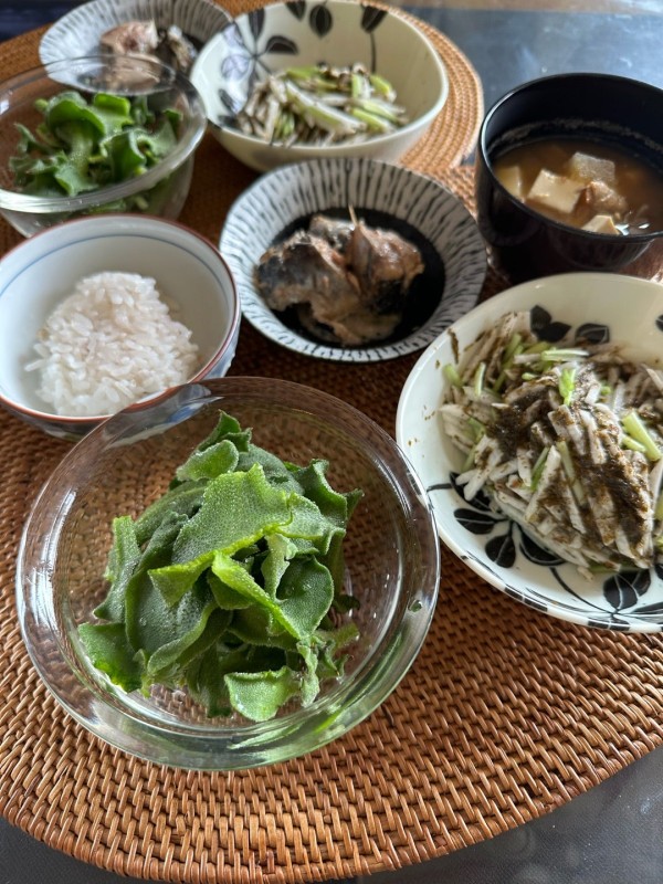 『【春の味覚】アイスプラントで爽やかなサラダ』