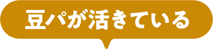 豆パが活きている